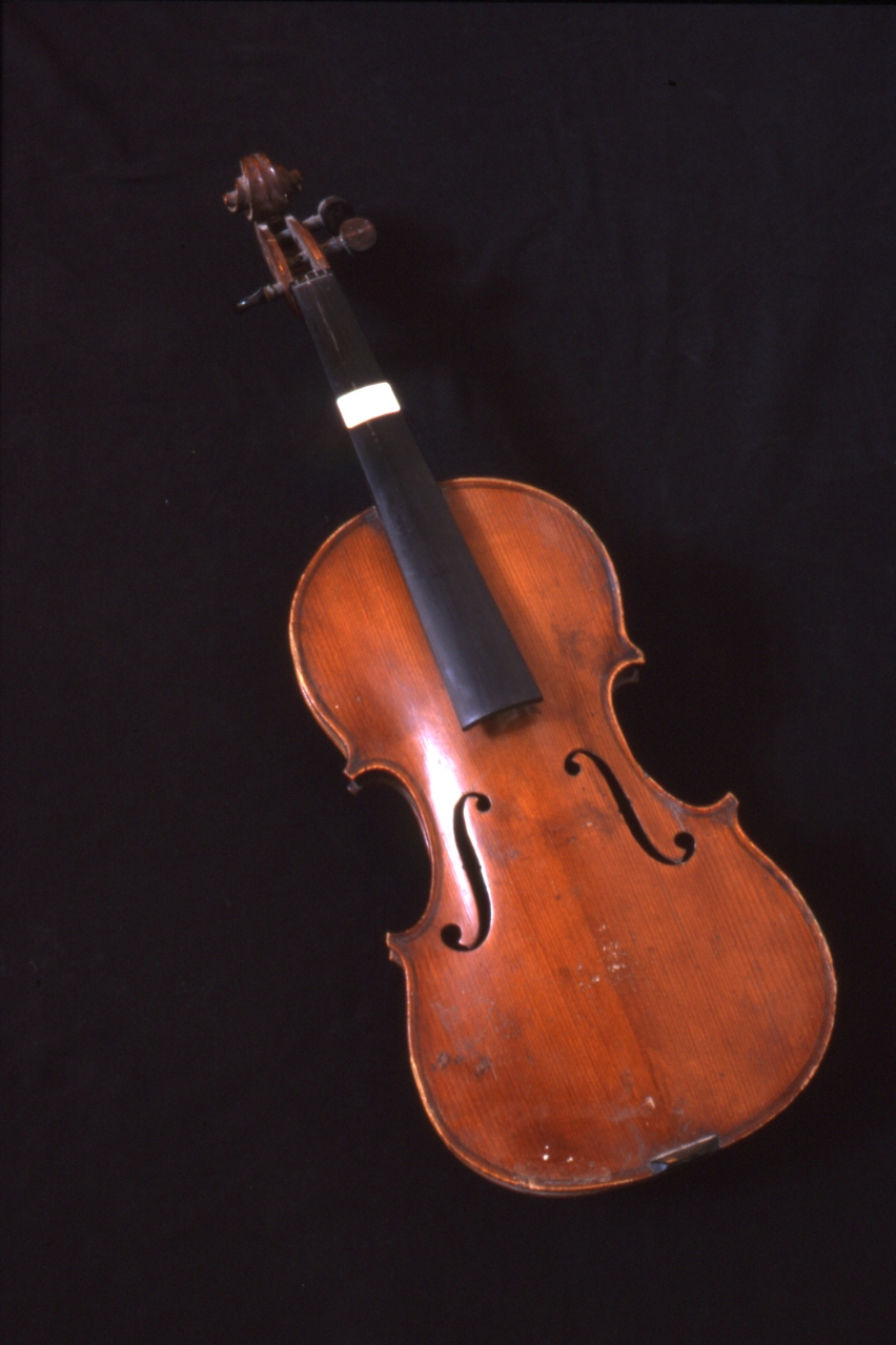 violino - bottega napoletana (seconda metà sec. XX)