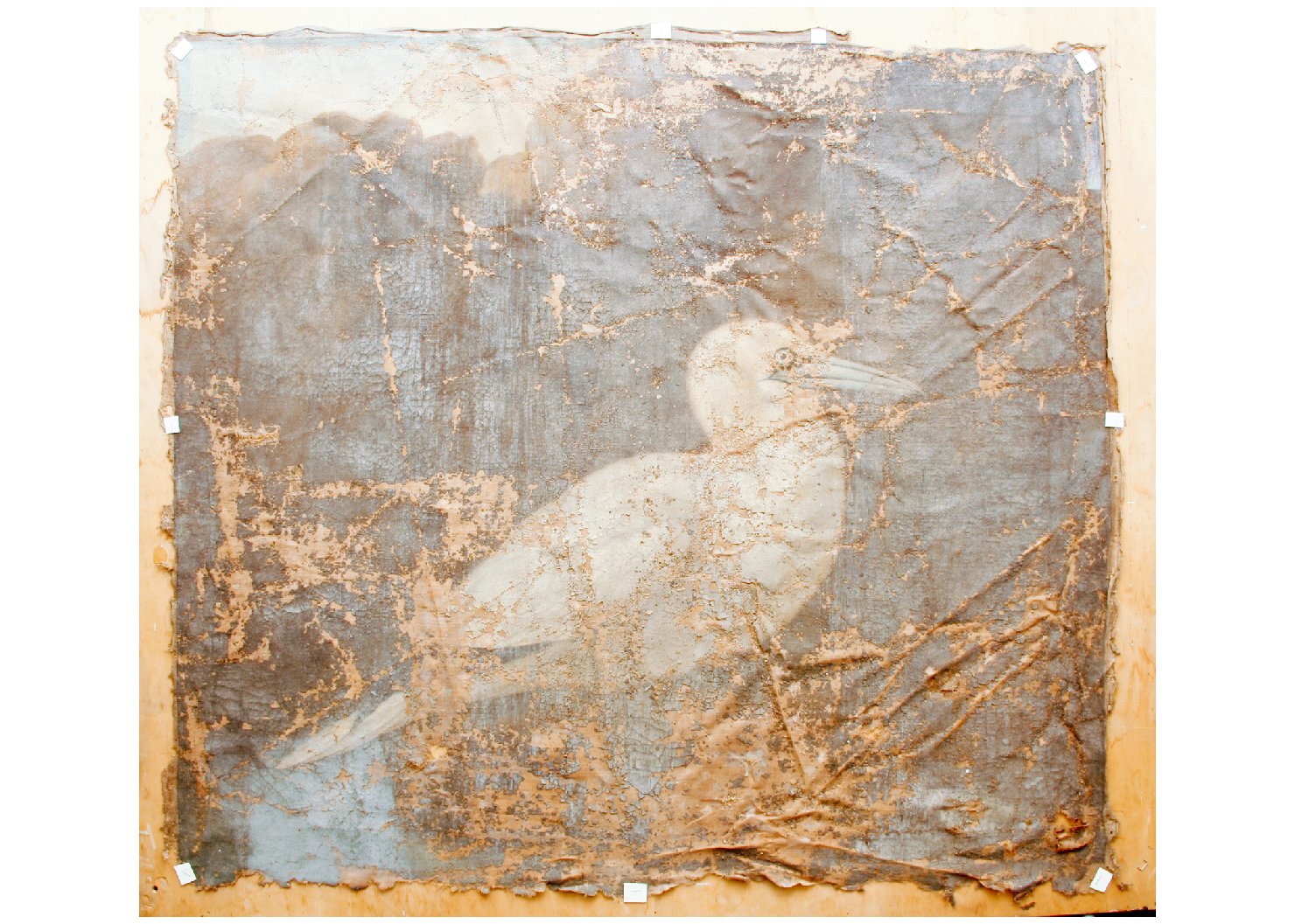 paesaggio con uccelli (dipinto) - ambito campano (sec. XVIII)