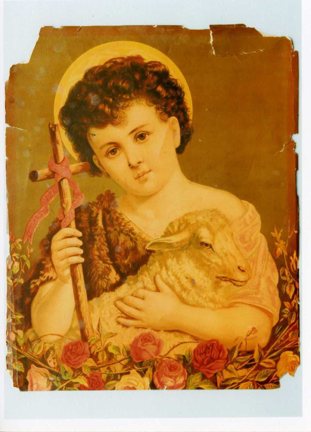 San Giovannino con l'agnello (stampa a colori) - ambito napoletano (sec. XIX)