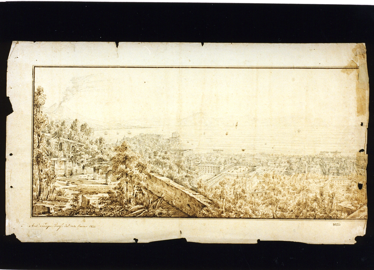 veduta di Napoli da San Martino (disegno) di Senape Antonio (sec. XIX)
