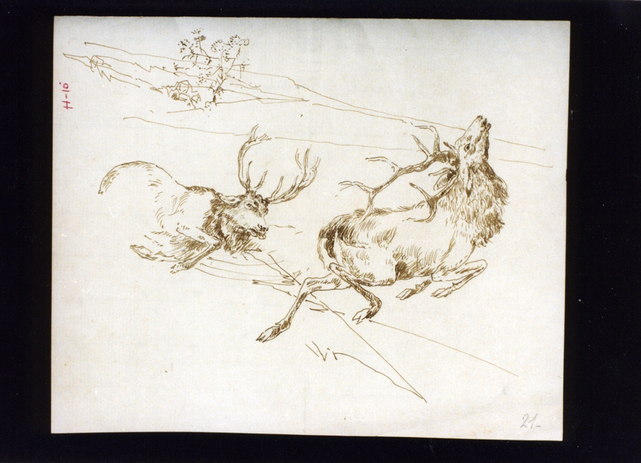studio di due cervi in corsa (disegno) di Vetri Paolo (sec. XIX)