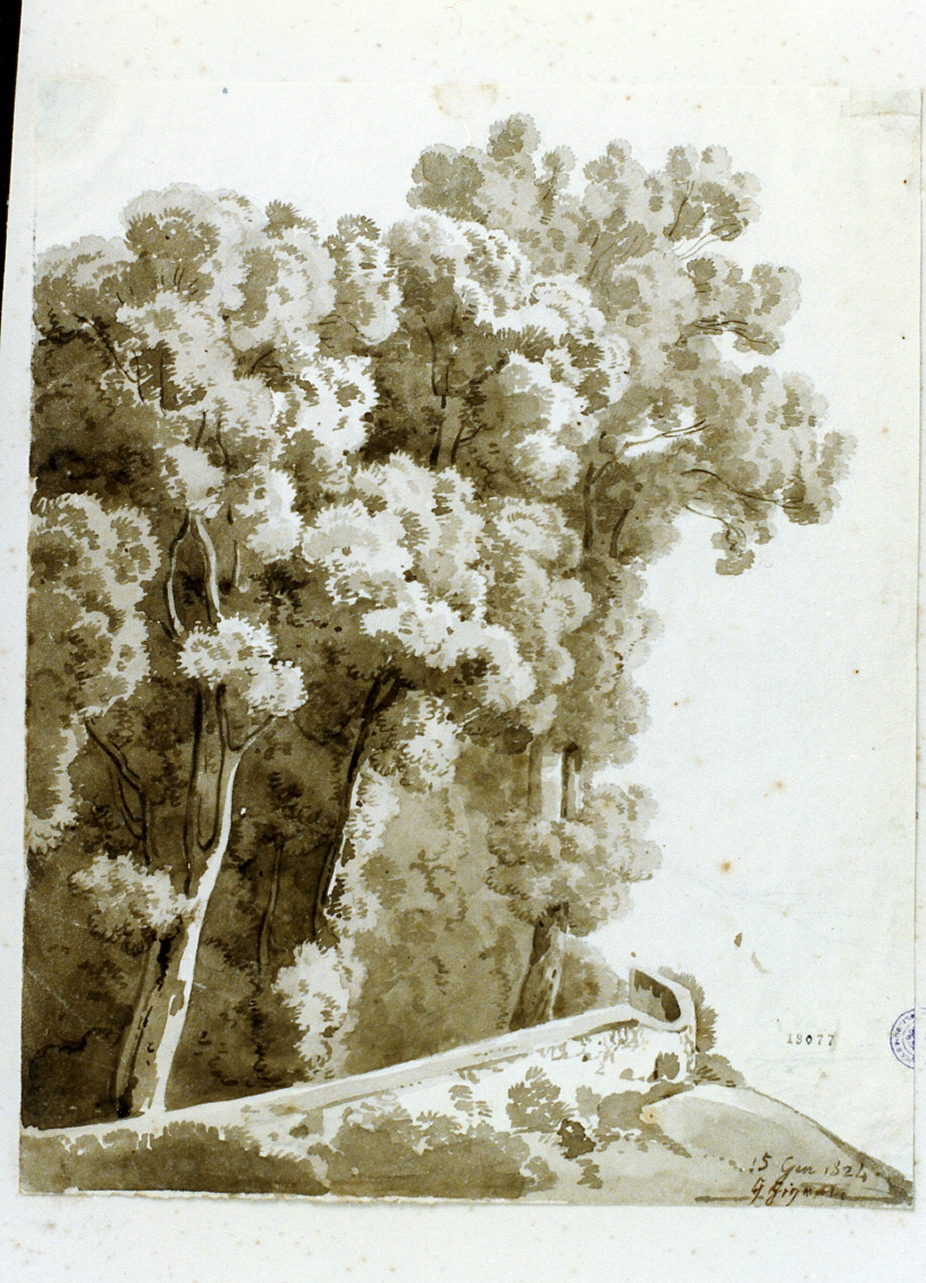 paesaggio con alberi (disegno) di Gigante Giacinto (sec. XIX)