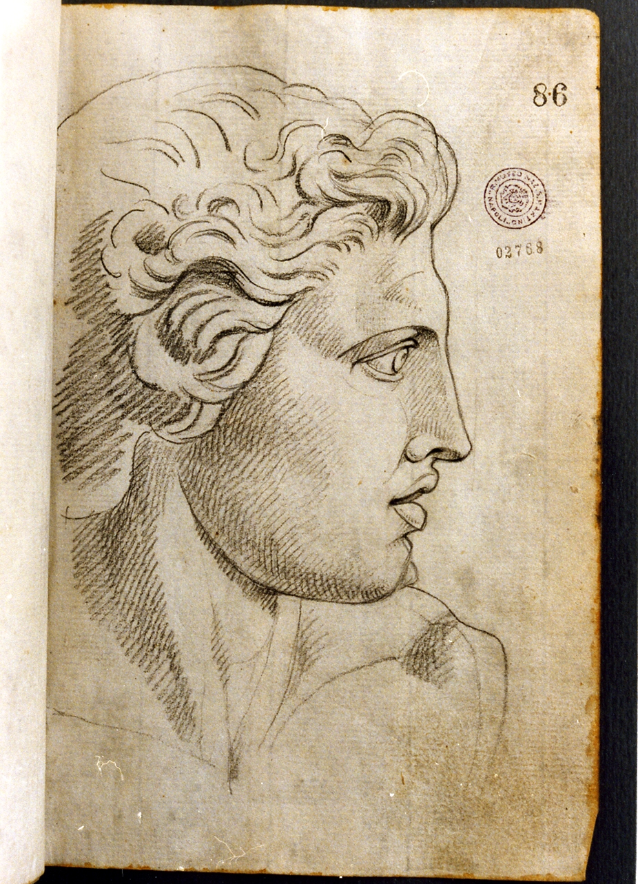 studio di testa (disegno) di Cammarano Giuseppe (secc. XVIII/ XIX)