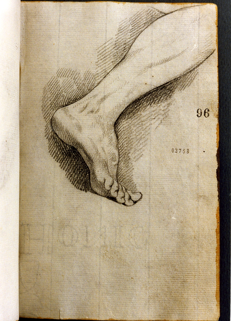 studio di piede (disegno) di Cammarano Giuseppe (secc. XVIII/ XIX)