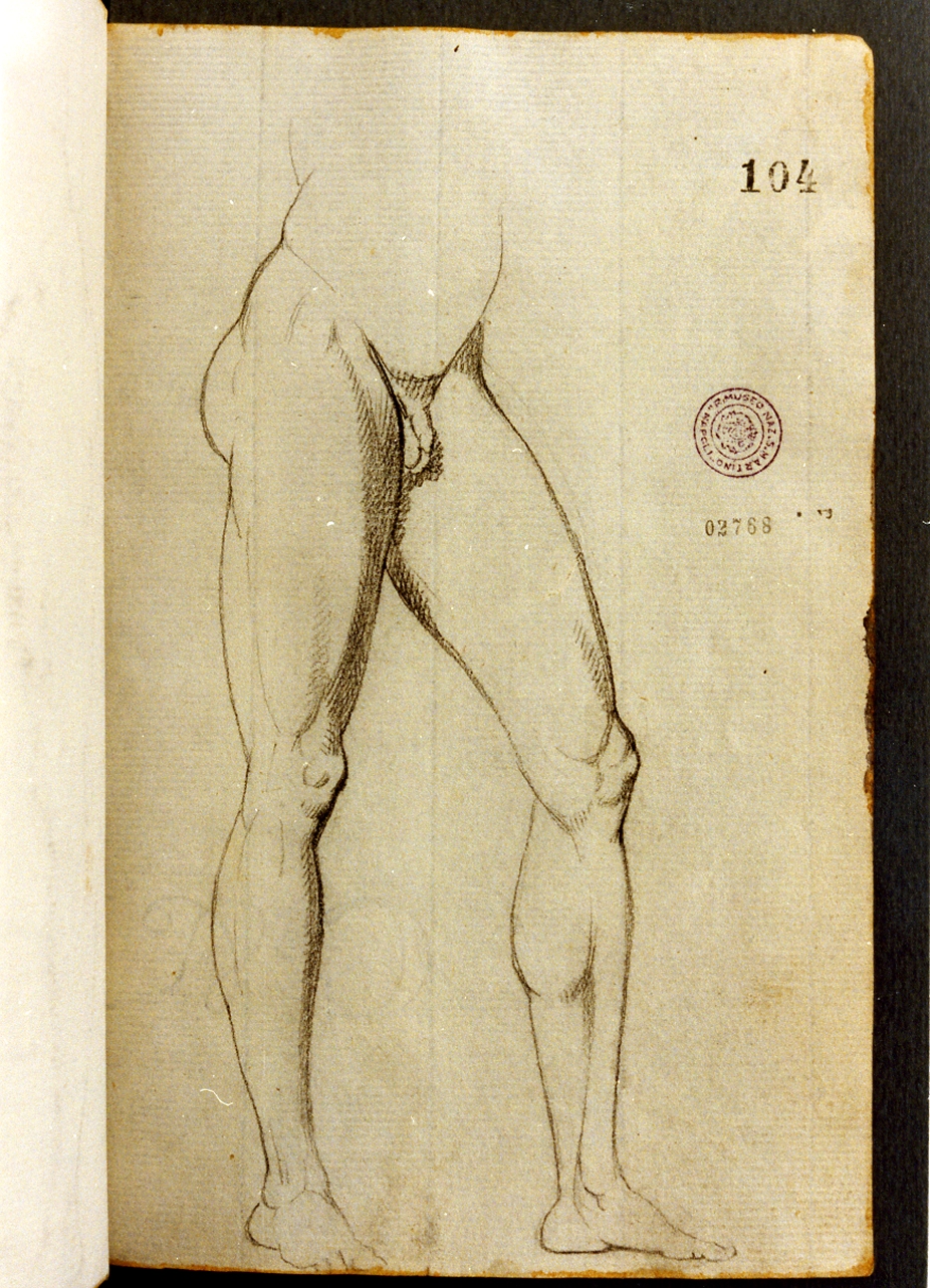 studio di gambe (disegno) di Cammarano Giuseppe (secc. XVIII/ XIX)