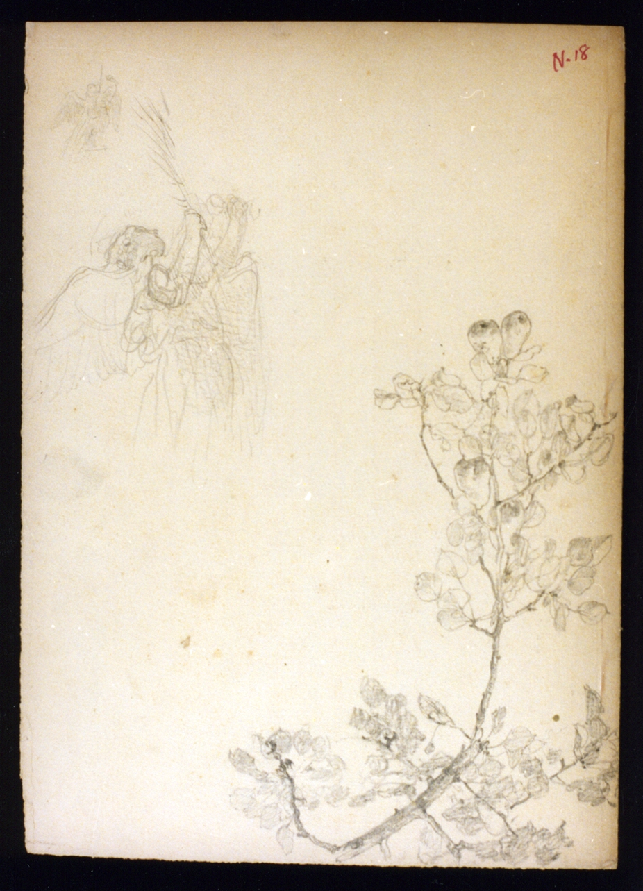 studio di rami di pero e di angelo con la palma (disegno) di Vetri Paolo (secc. XIX/ XX)