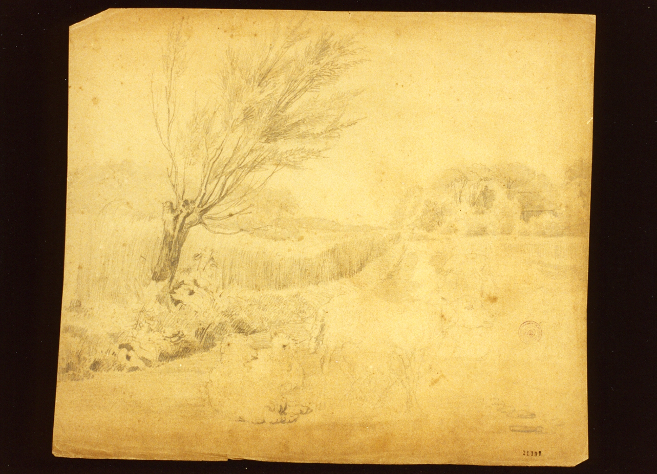 paesaggio campestre con pecore (disegno) - ambito danese (metà sec. XIX)