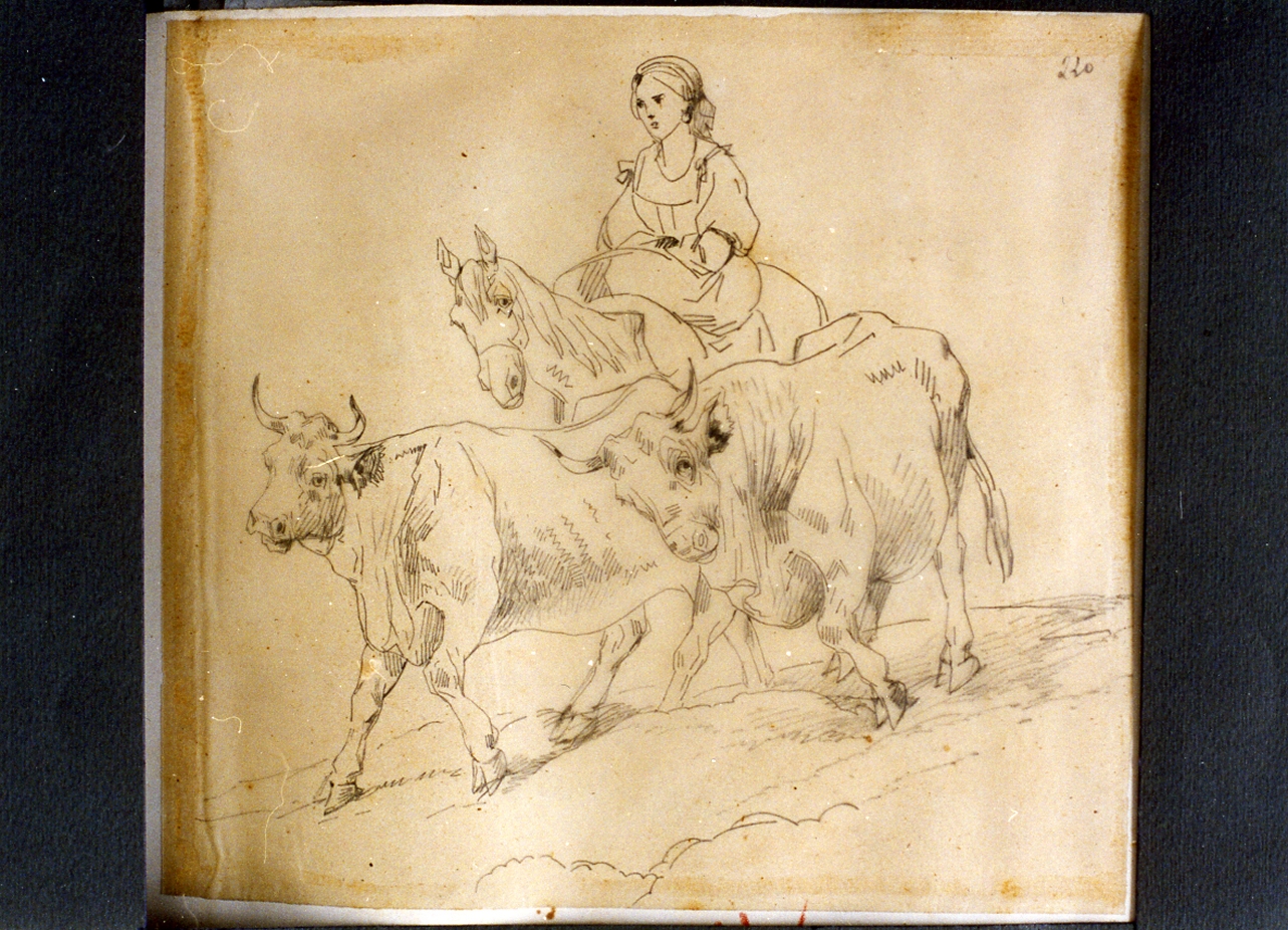 studio di pastorella su cavallo con due mucche (disegno) di Carelli Consalvo (sec. XIX)