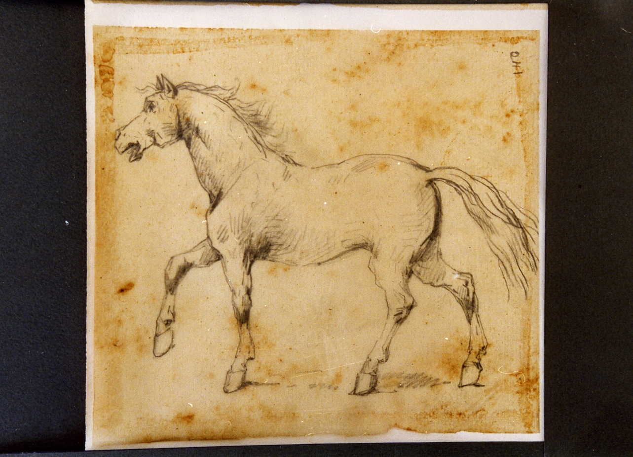 studio di cavallo al trotto (disegno) di Carelli Consalvo (sec. XIX)