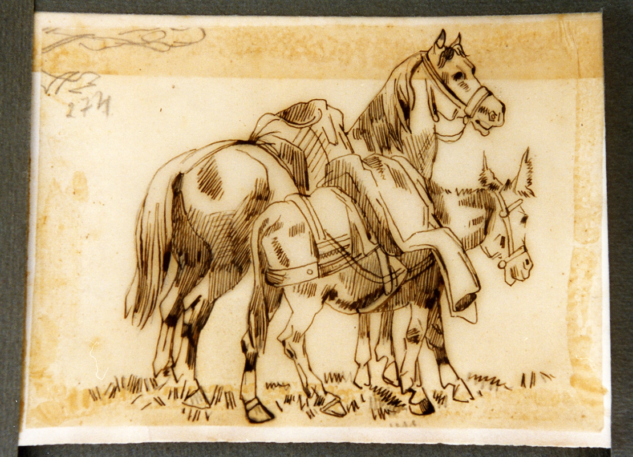 studio di cavallo e asino (disegno) di Carelli Consalvo (sec. XIX)
