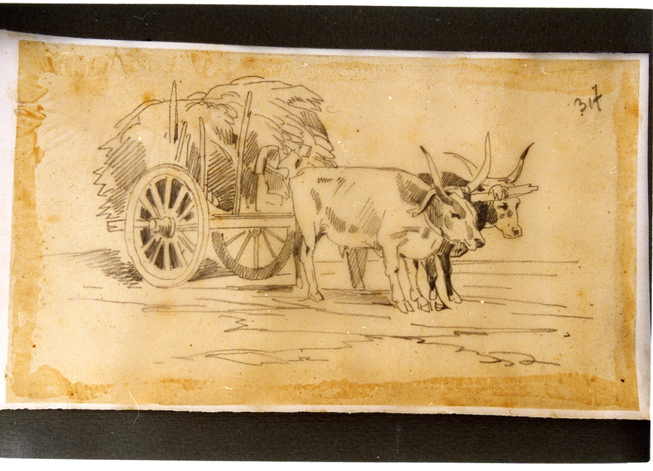 studio di buoi con carro (disegno) di Carelli Consalvo (sec. XIX)