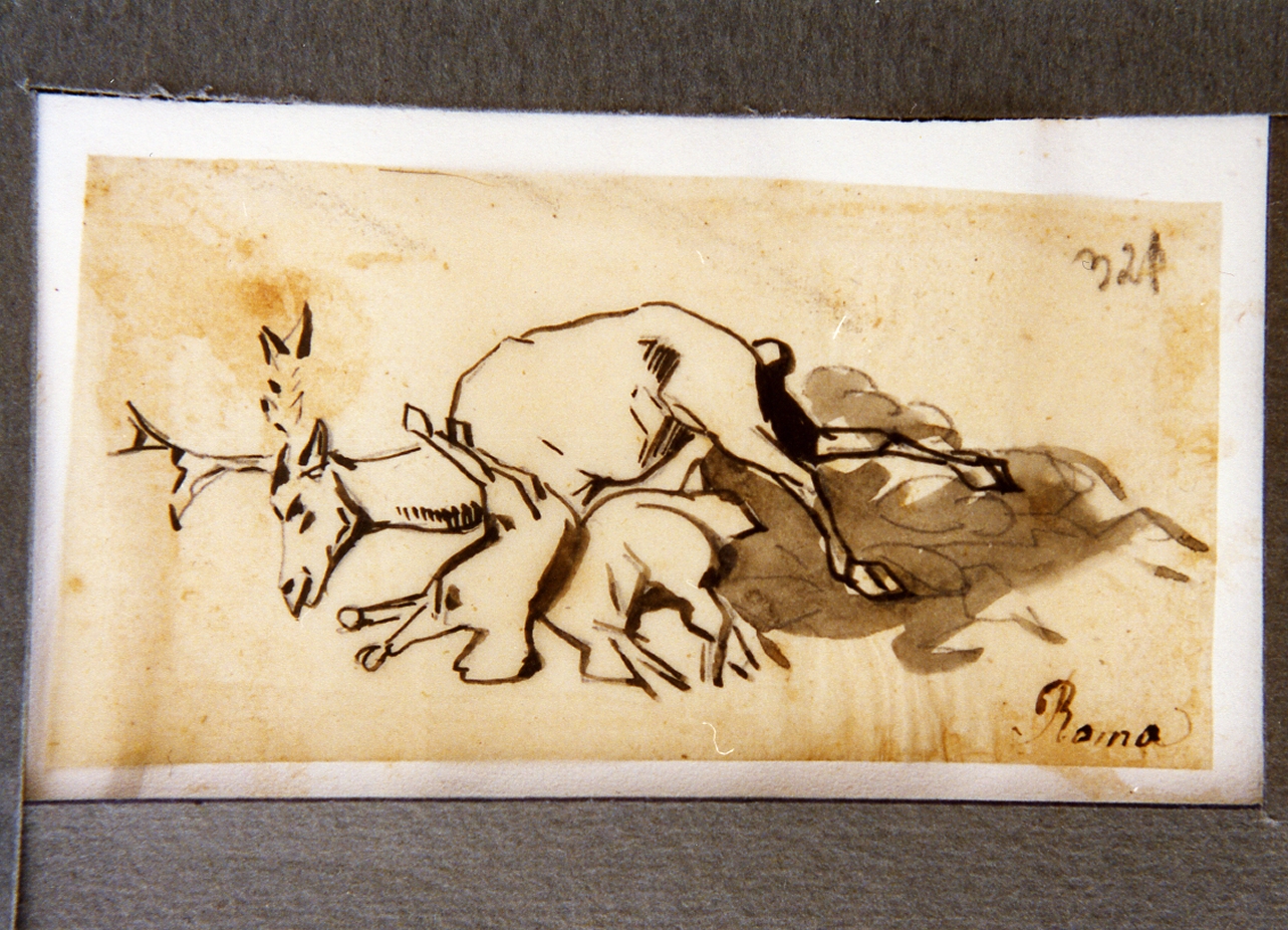studio di cerbiatto morto (disegno) di Carelli Consalvo (sec. XIX)
