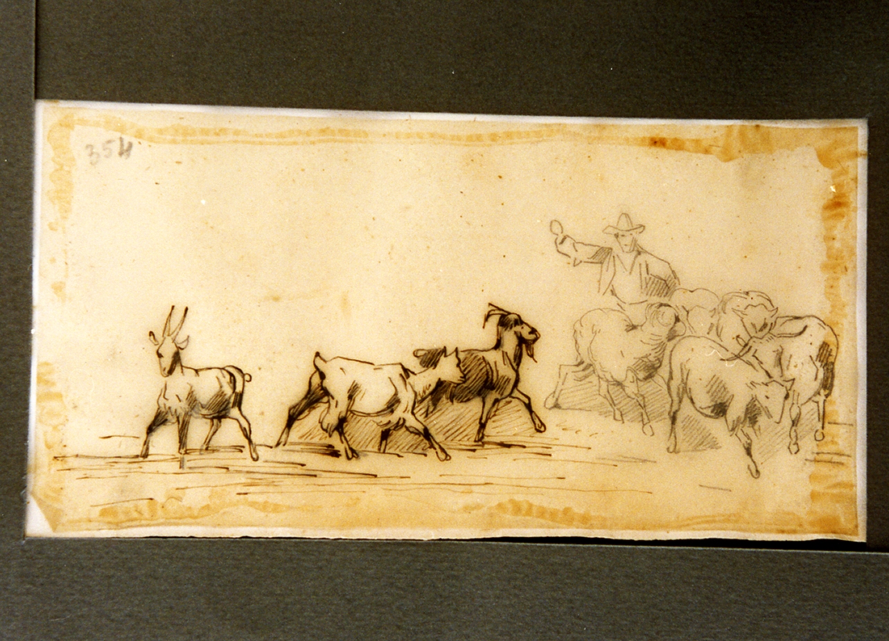 studio di pastore con gregge (disegno) di Carelli Consalvo (sec. XIX)
