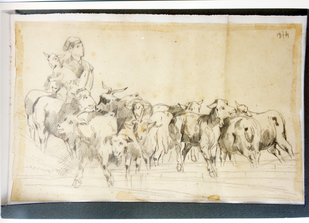 studio di pastore con gregge (disegno) di Carelli Consalvo (sec. XIX)