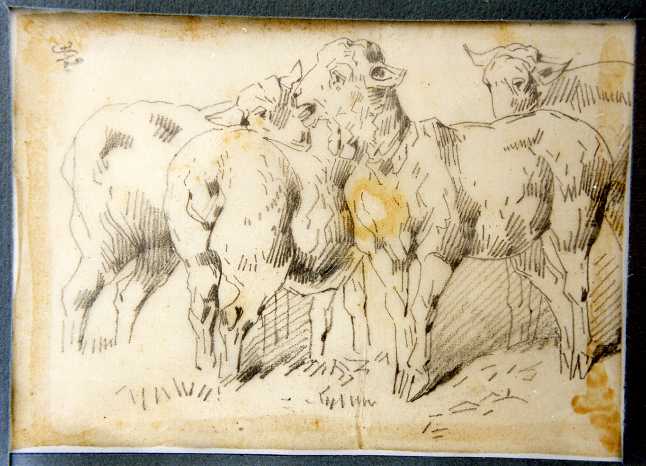 studio di capre (disegno) di Carelli Consalvo (sec. XIX)