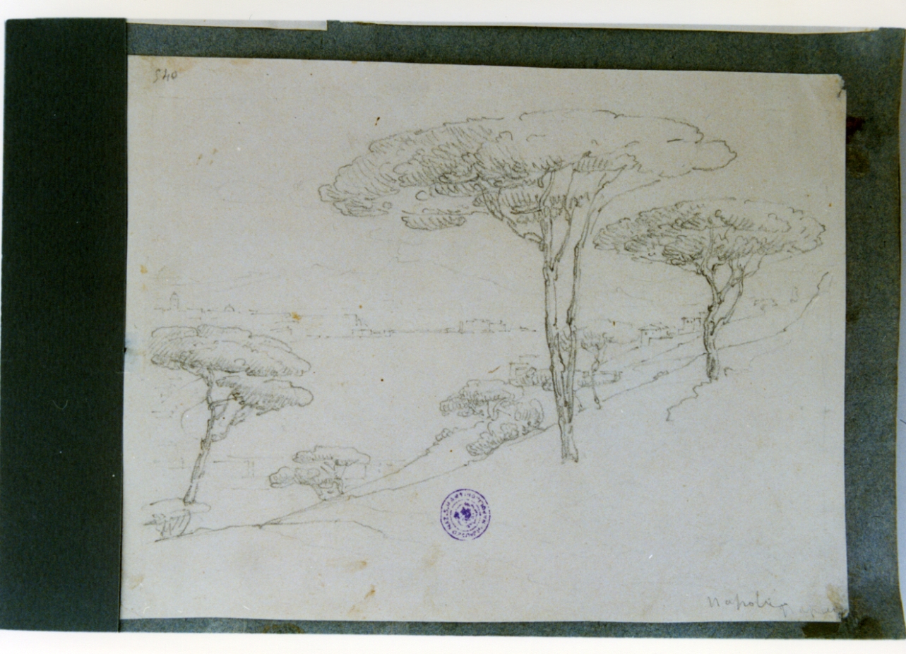 veduta di Napoli da Posillipo (disegno) di Vervloet Frans (secondo quarto sec. XIX)