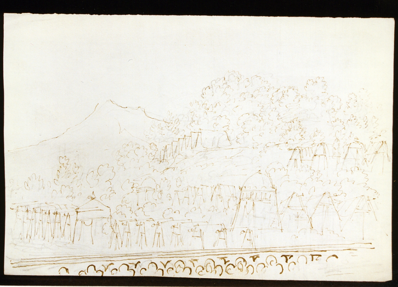 schizzo per scenografia con vegetazione (disegno) di Niccolini Antonio (scuola) (sec. XIX)