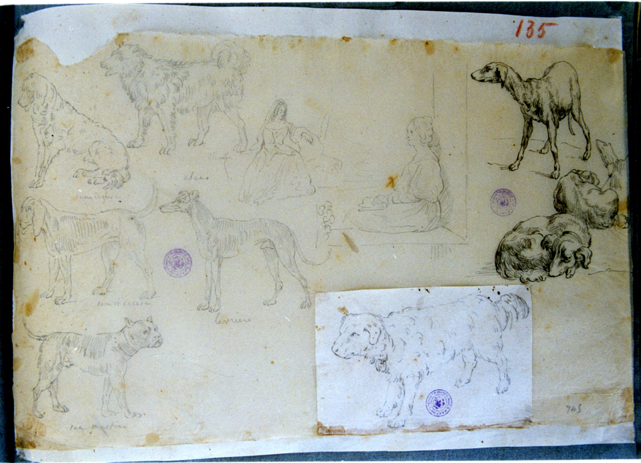 studio di cani e figure femminili (disegno) di Vervloet Frans (secondo quarto sec. XIX)