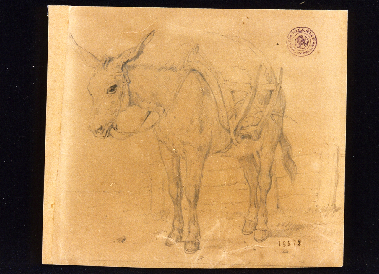 asinello (disegno) di Carelli Consalvo (sec. XIX)