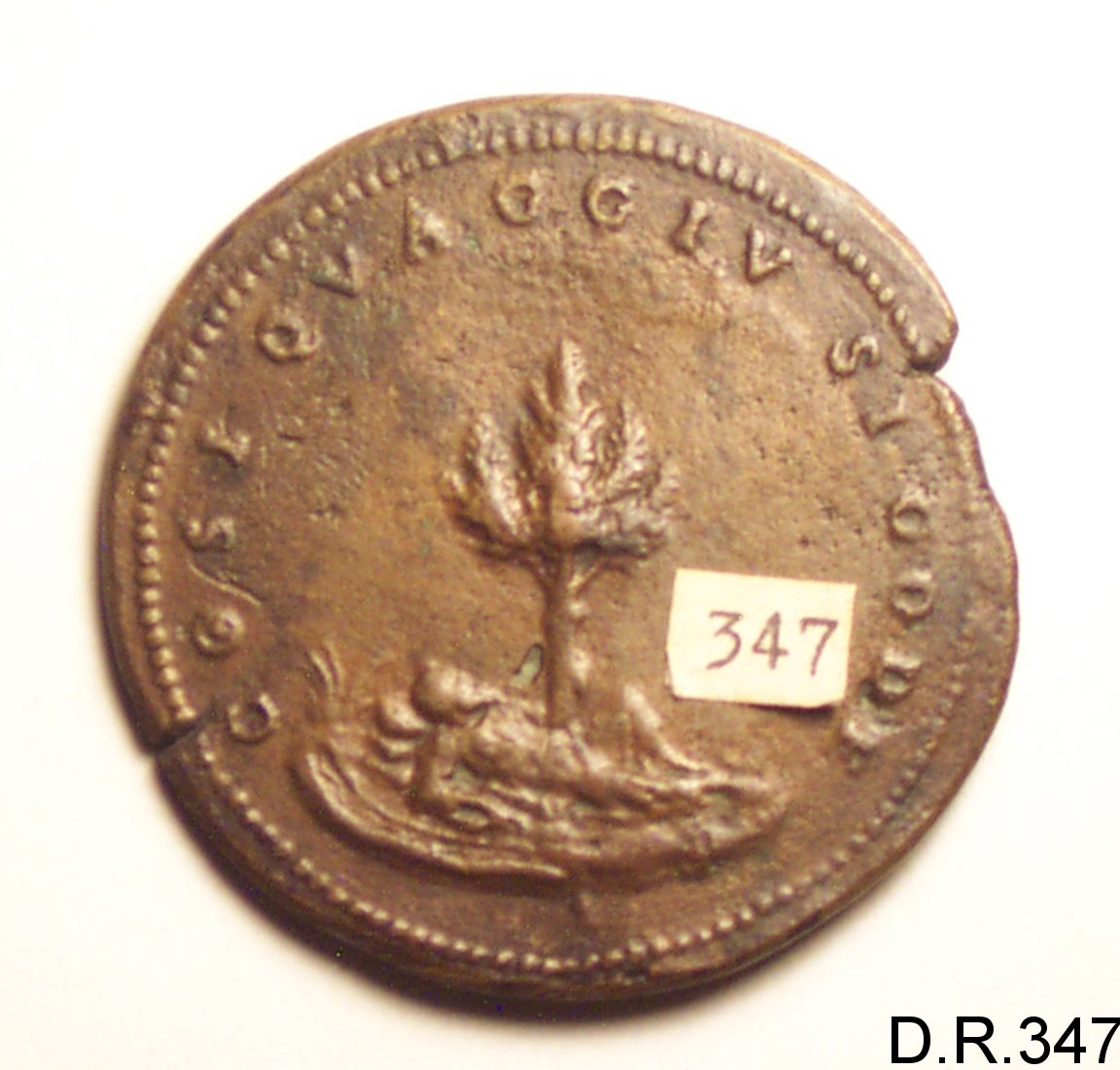 medaglia di Poggini Domenico (metà sec. XVI)