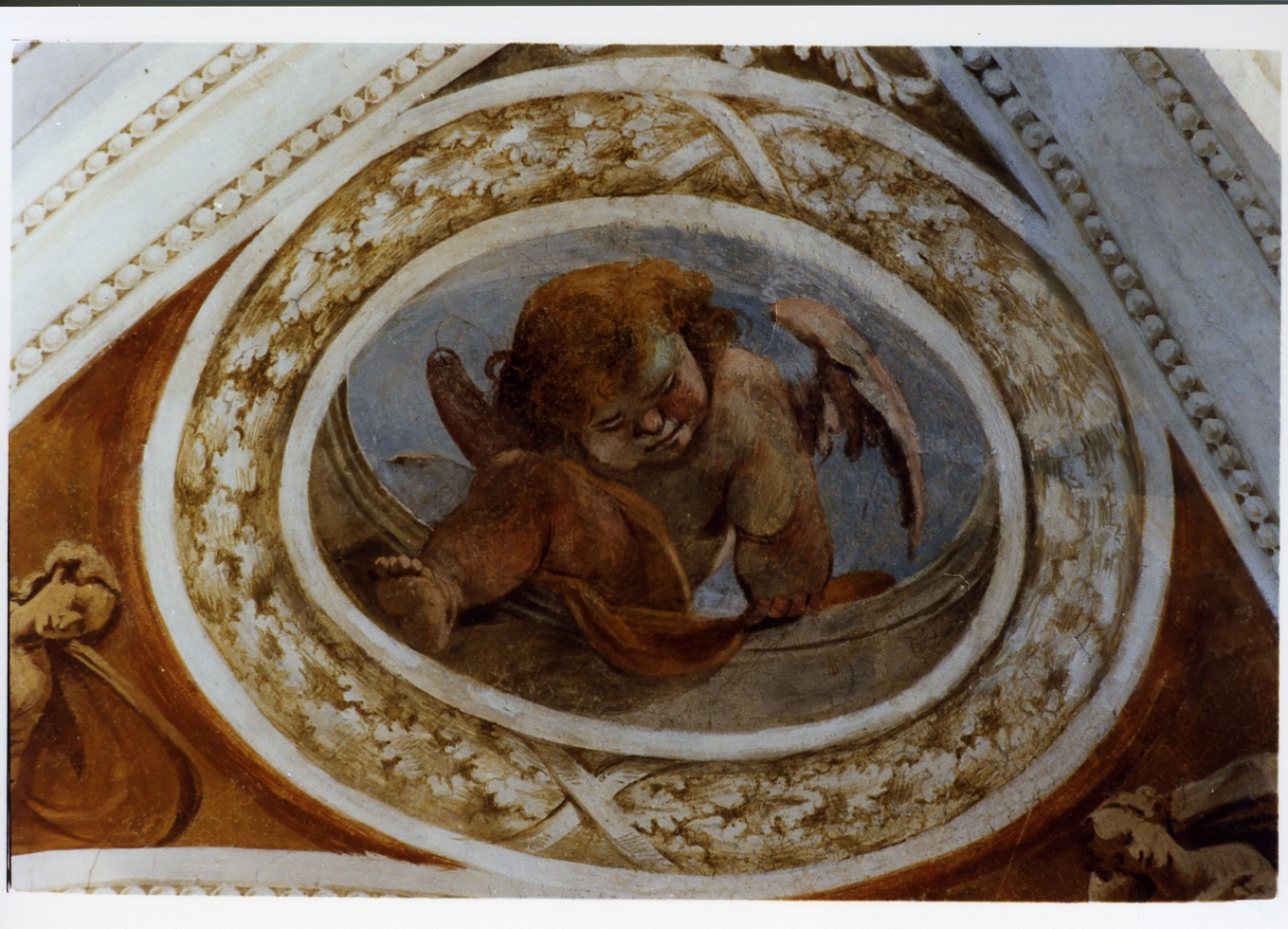 putto alato (dipinto) - ambito napoletano (sec. XVII)