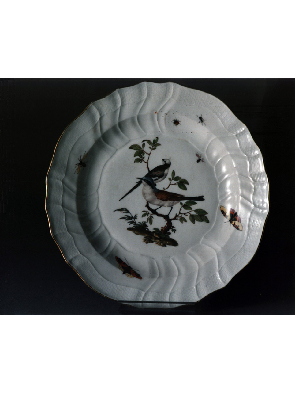 motivi decorativi vegetali e animali (piatto) - manifattura di Meissen (sec. XVIII)