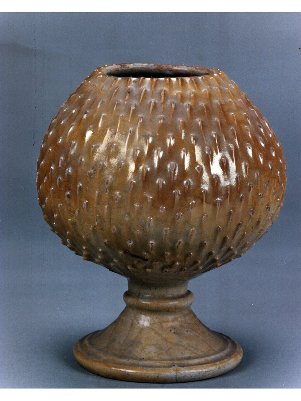 motivi decorativi (vaso) - manifattura di Deruta (sec. XVI)