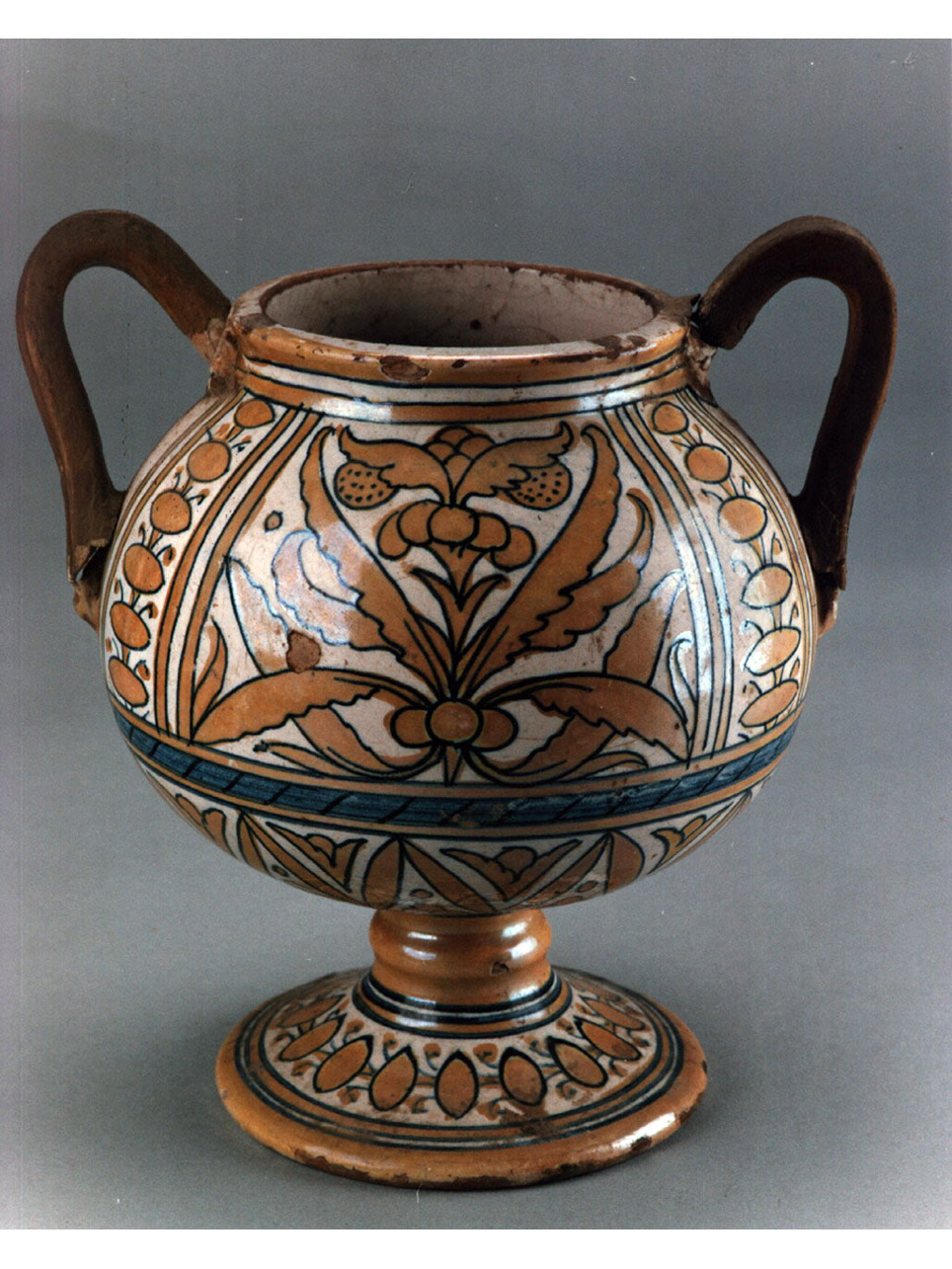 motivi decorativi (vaso) - manifattura di Deruta (prima metà sec. XVI)