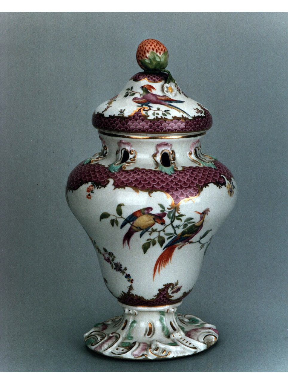 motivi decorativi vegetali e animali (pot-pourri) - manifattura di Meissen (sec. XVIII)