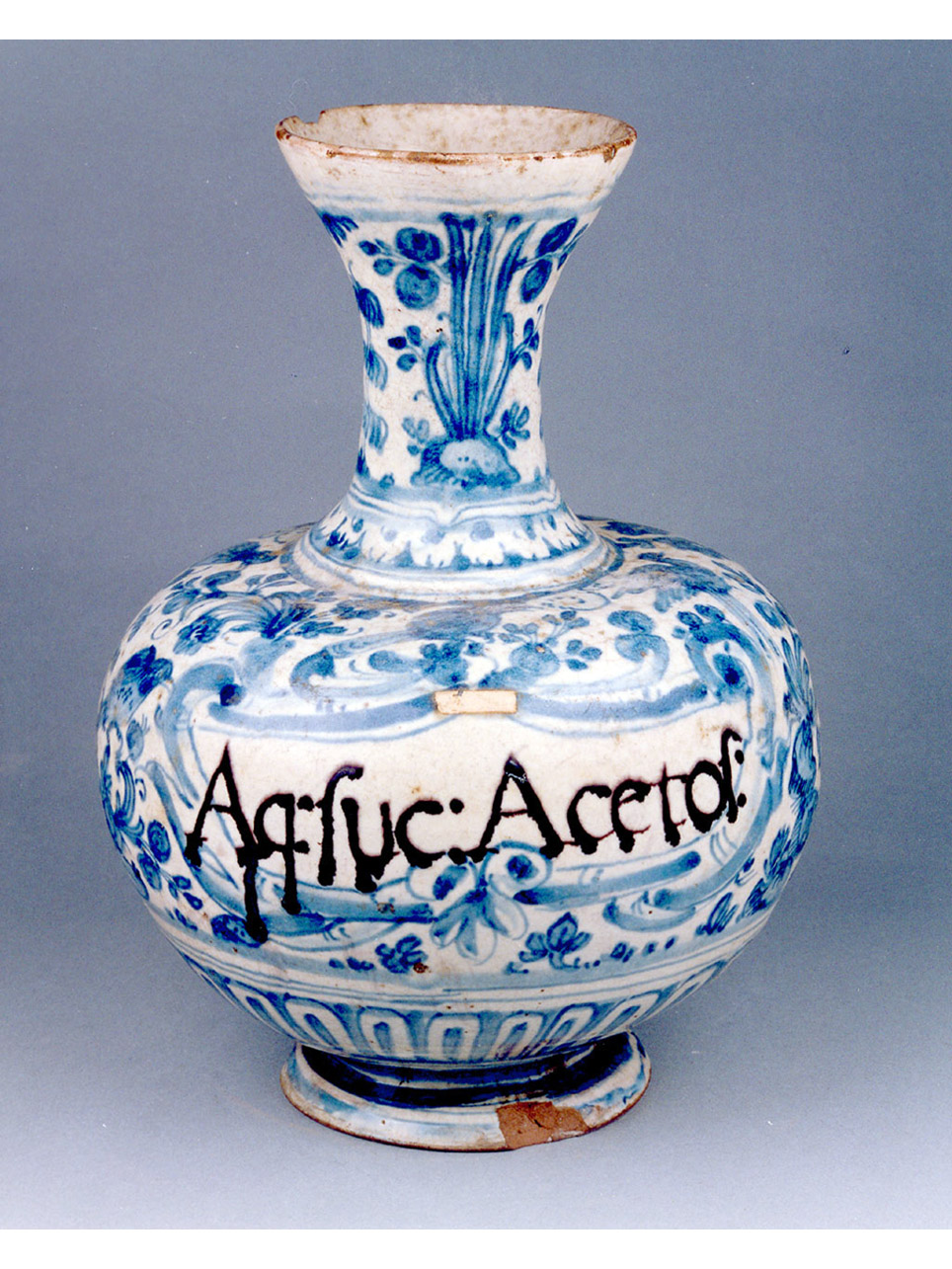 motivi decorativi floreali (bottiglia) - manifattura lucchese (sec. XVII)