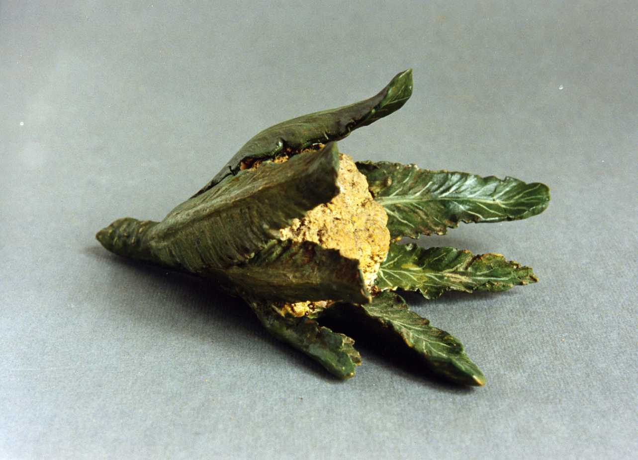 cavolfiore (scultura miniaturistica) - bottega napoletana (secc. XVIII/ XIX)
