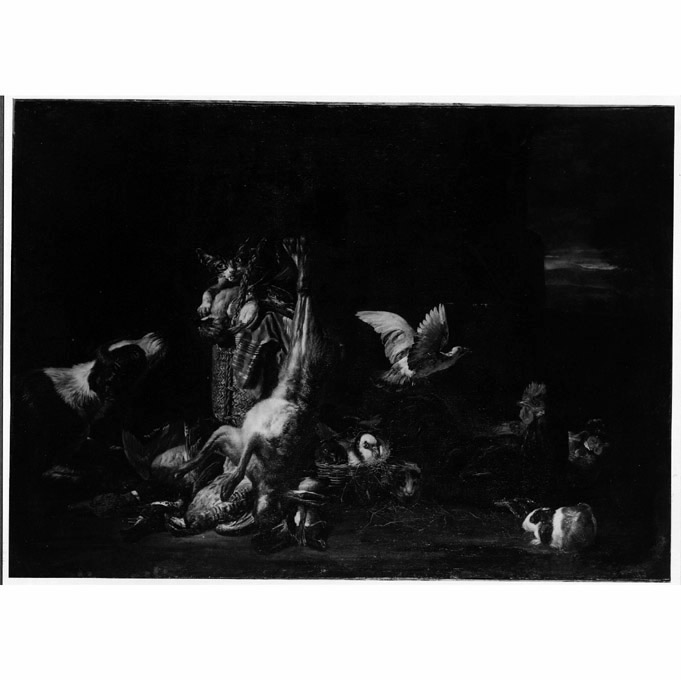 natura morta con cacciagione (dipinto, serie) di De Koninck David (sec. XVII)