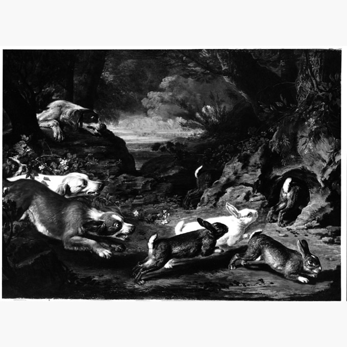 scena di caccia (dipinto, serie) di De Koninck David (sec. XVII)