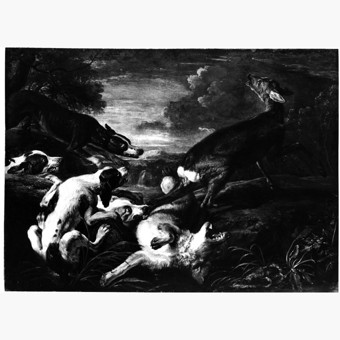 caccia al daino (dipinto, serie) di De Koninck David (sec. XVII)
