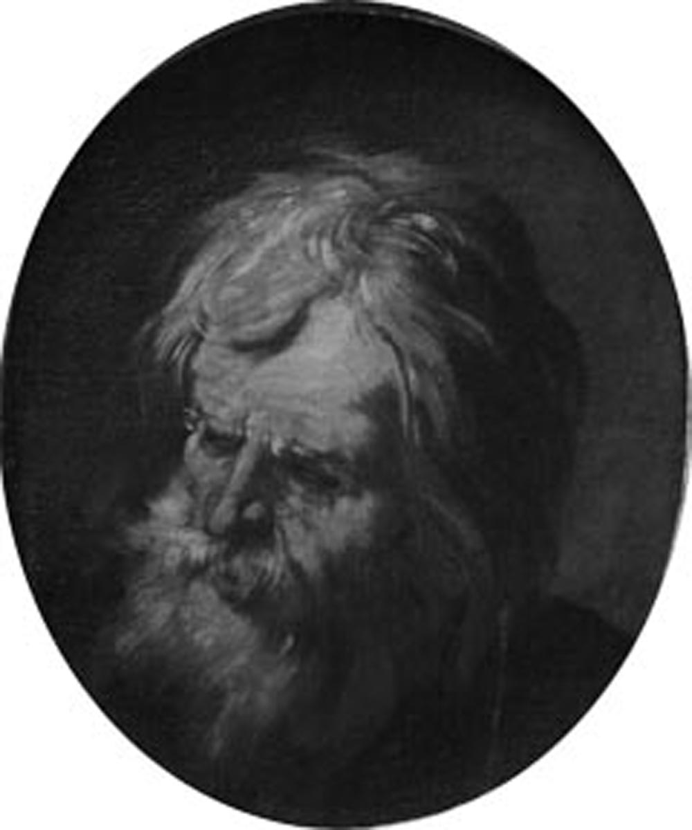 testa d'uomo con barba (dipinto) di Fracanzano Francesco (prima metà sec. XVII)