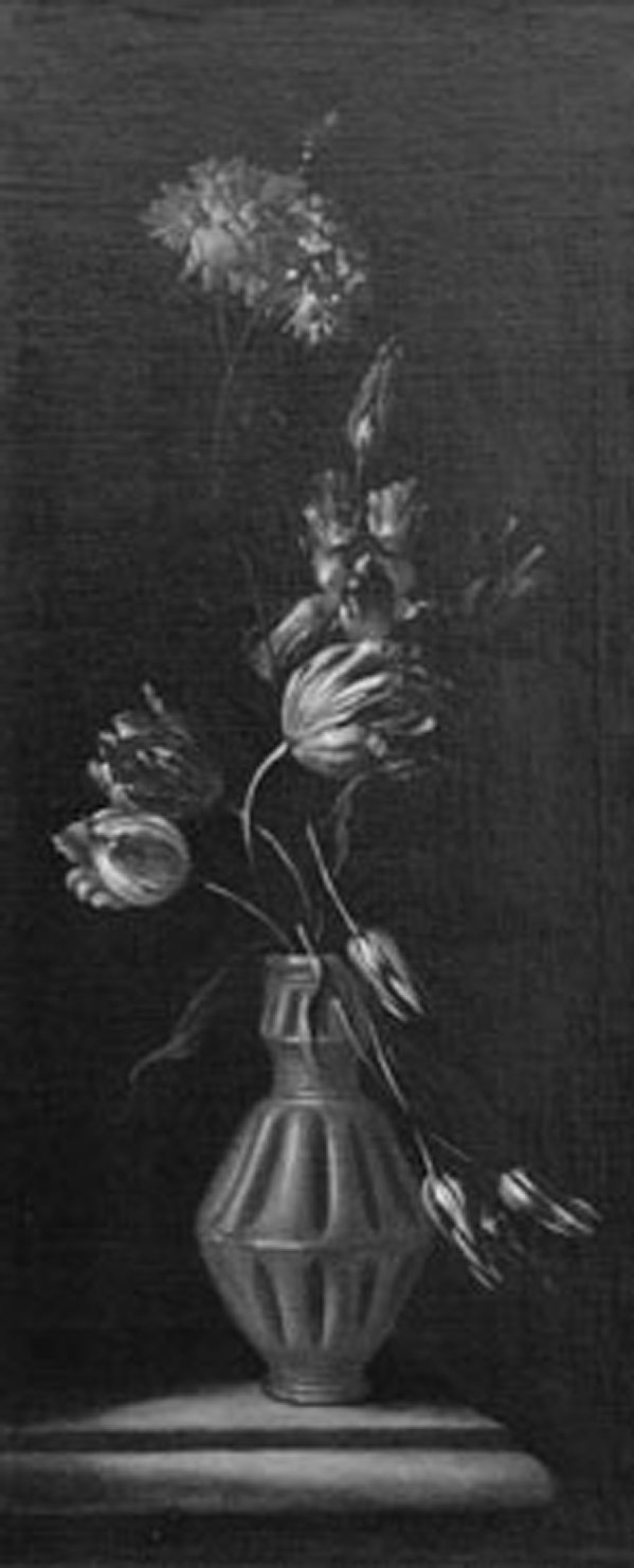 vaso con fiori (dipinto) di Belvedere Andrea (sec. XVII)