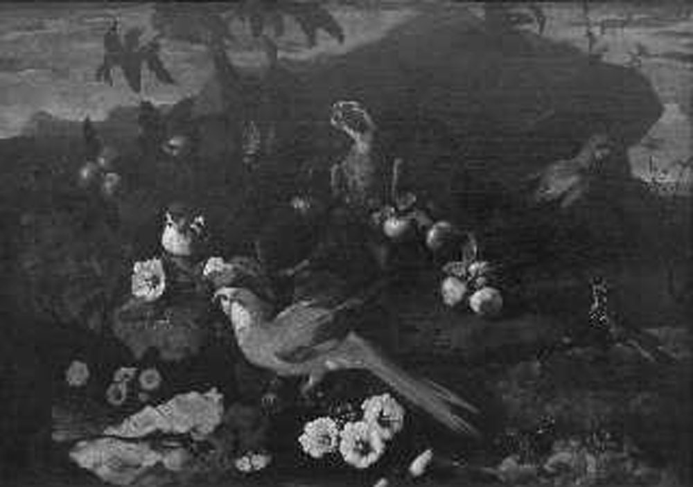 natura morta (dipinto) di Porpora Paolo (terzo quarto sec. XVII)