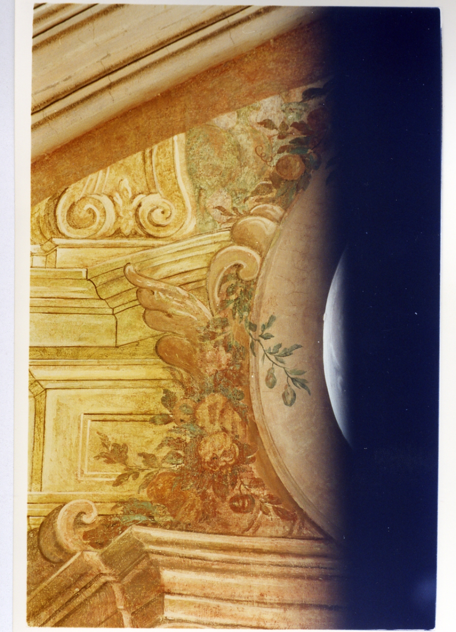 motivo decorativo floreale (dipinto, serie) di Gamba Crescenzo (sec. XVIII)