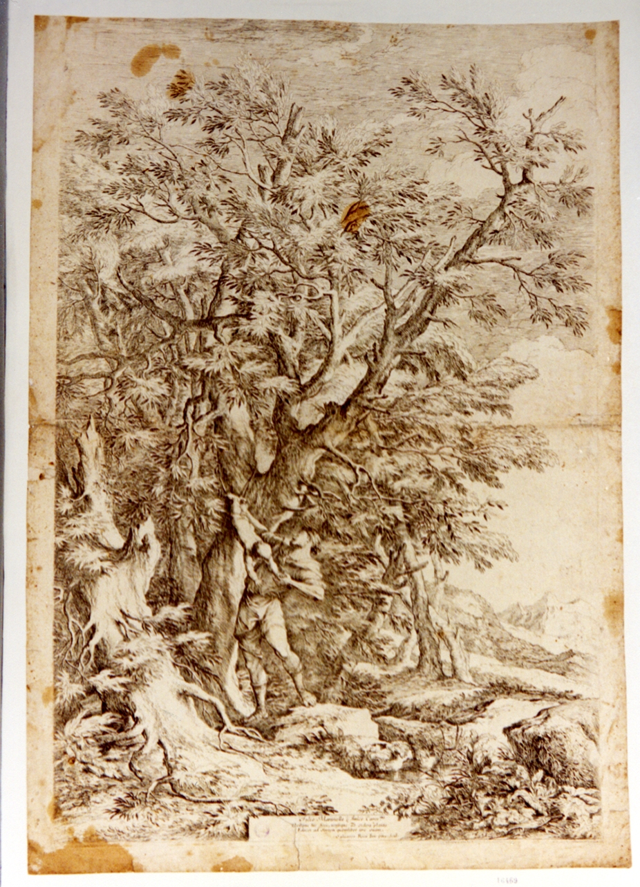 Edipo esposto sul Citerone (stampa tagliata) di Rosa Salvator (sec. XVII)