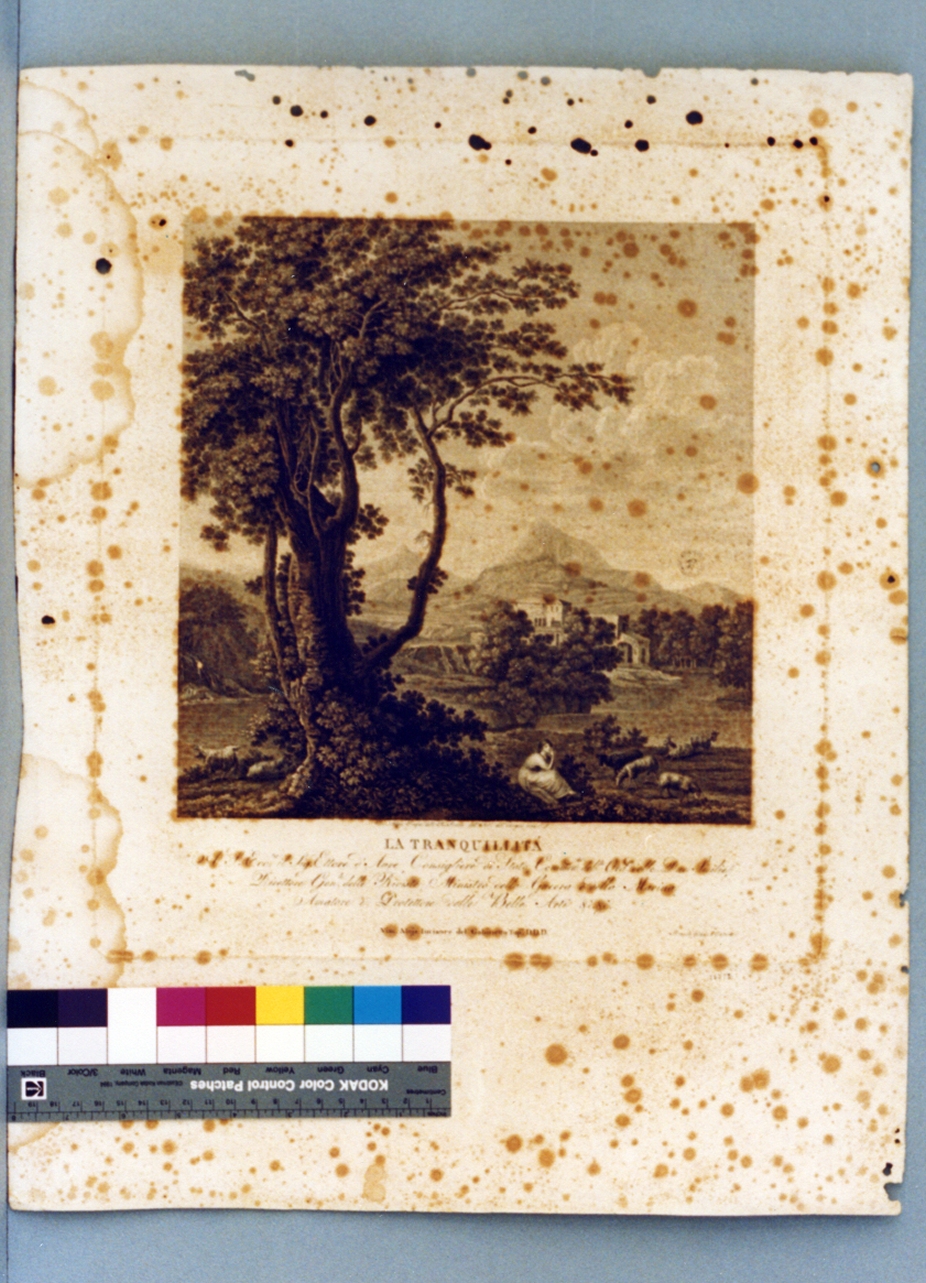 scena campestre (stampa) di Alloja Vincenzo (secc. XVIII/ XIX)