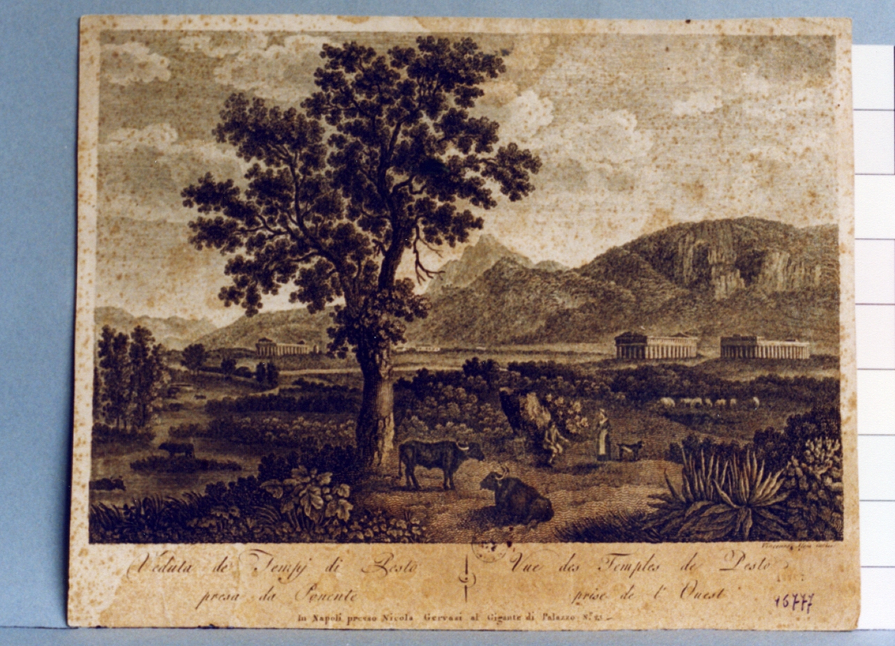 paesaggio con rovine (stampa) di Alloja Vincenzo (secc. XVIII/ XIX)