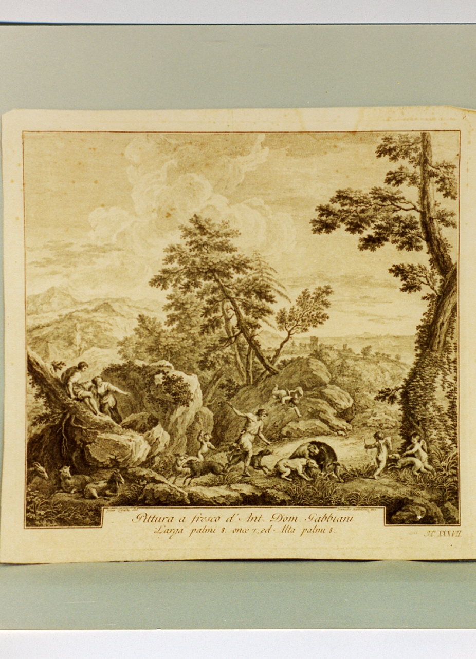 caccia al cinghiale (stampa tagliata) di Zocchi Giuseppe, Gabbiani Antonio Domenico, Bartolozzi Francesco (sec. XVIII)