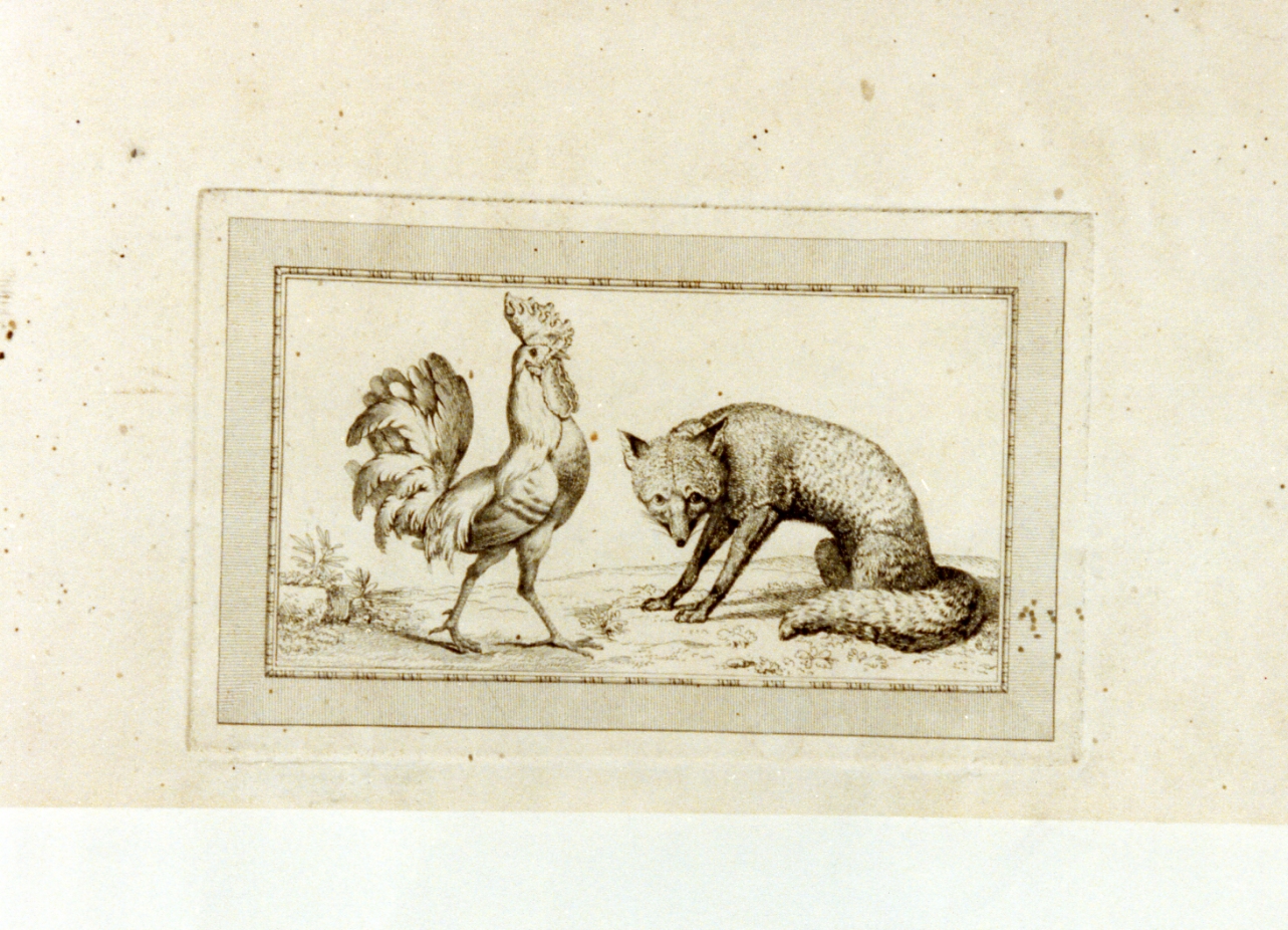 volpe e gallo (stampa) di Tischbein Johann Heinrich Wilhelm (fine sec. XVIII)