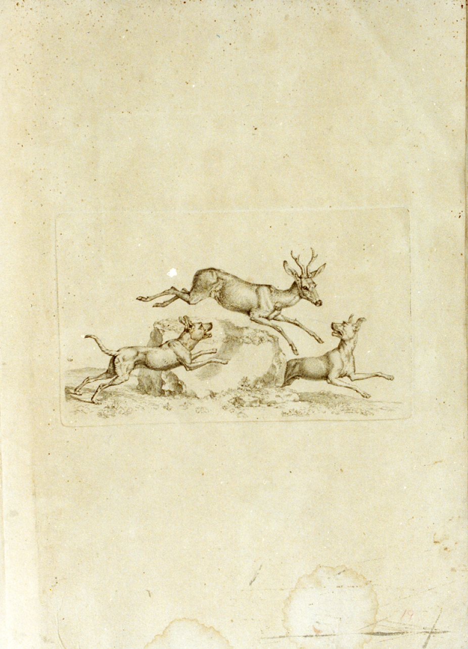 caccia al cervo (stampa) di Tischbein Johann Heinrich Wilhelm (fine sec. XVIII)