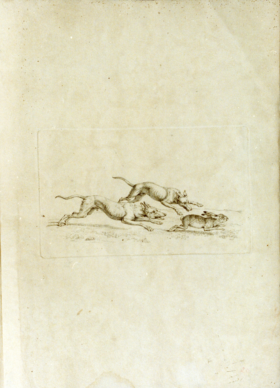 caccia alla lepre (stampa) di Tischbein Johann Heinrich Wilhelm (fine sec. XVIII)