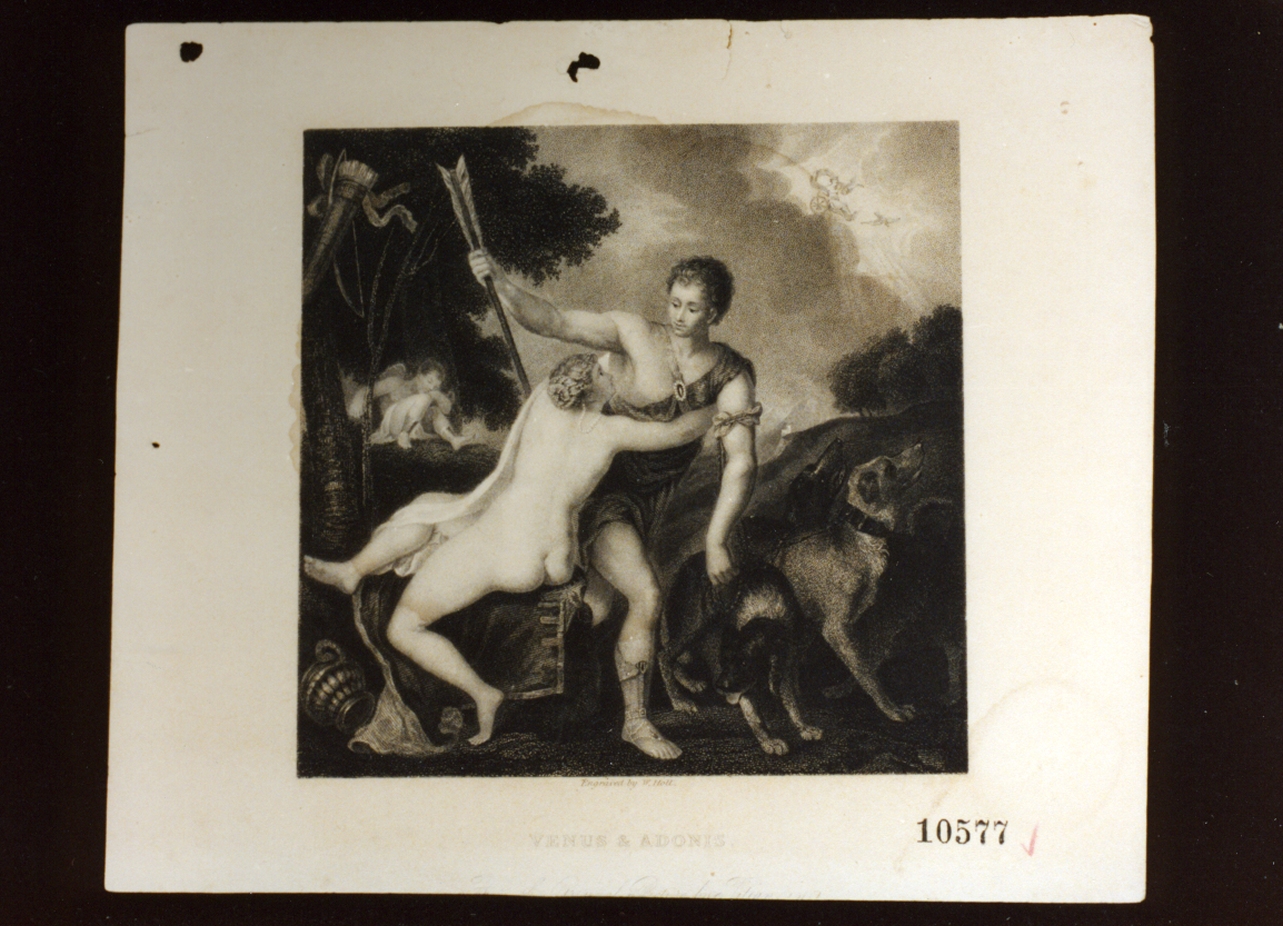 Venere e Adone (stampa) di Holl William I (sec. XIX)