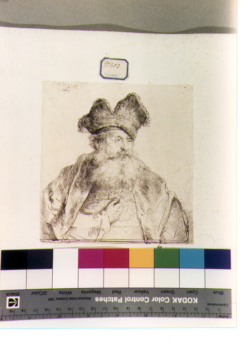 ritratto maschile a mezza figura (stampa) di Van Rijn Rembrandt Harmenszoon (sec. XVII)
