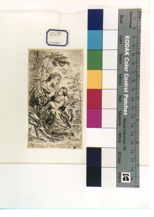 Madonna con Bambino (stampa) di Mola Pier Francesco (secondo quarto sec. XVII)