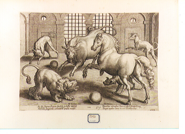 battaglia di animali (stampa) di Galle Philip, Van der Straet Jan detto Giovanni Stradano (CERCHIA) (ultimo quarto sec. XVI)