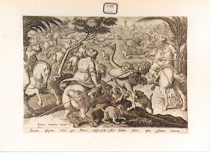 caccia allo struzzo (stampa) di Van der Straet Jan detto Giovanni Stradano (CERCHIA), Galle Philip (sec. XVI)